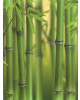 Mairol Bambus D&uuml;nger Liquid