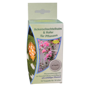 Schacht Ackerschachtelhalm &amp; Hafer Teepad 10 St&uuml;ck