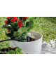 Sprinkler- Bewässerung Set für Blumenbeet und Gemüsebeet